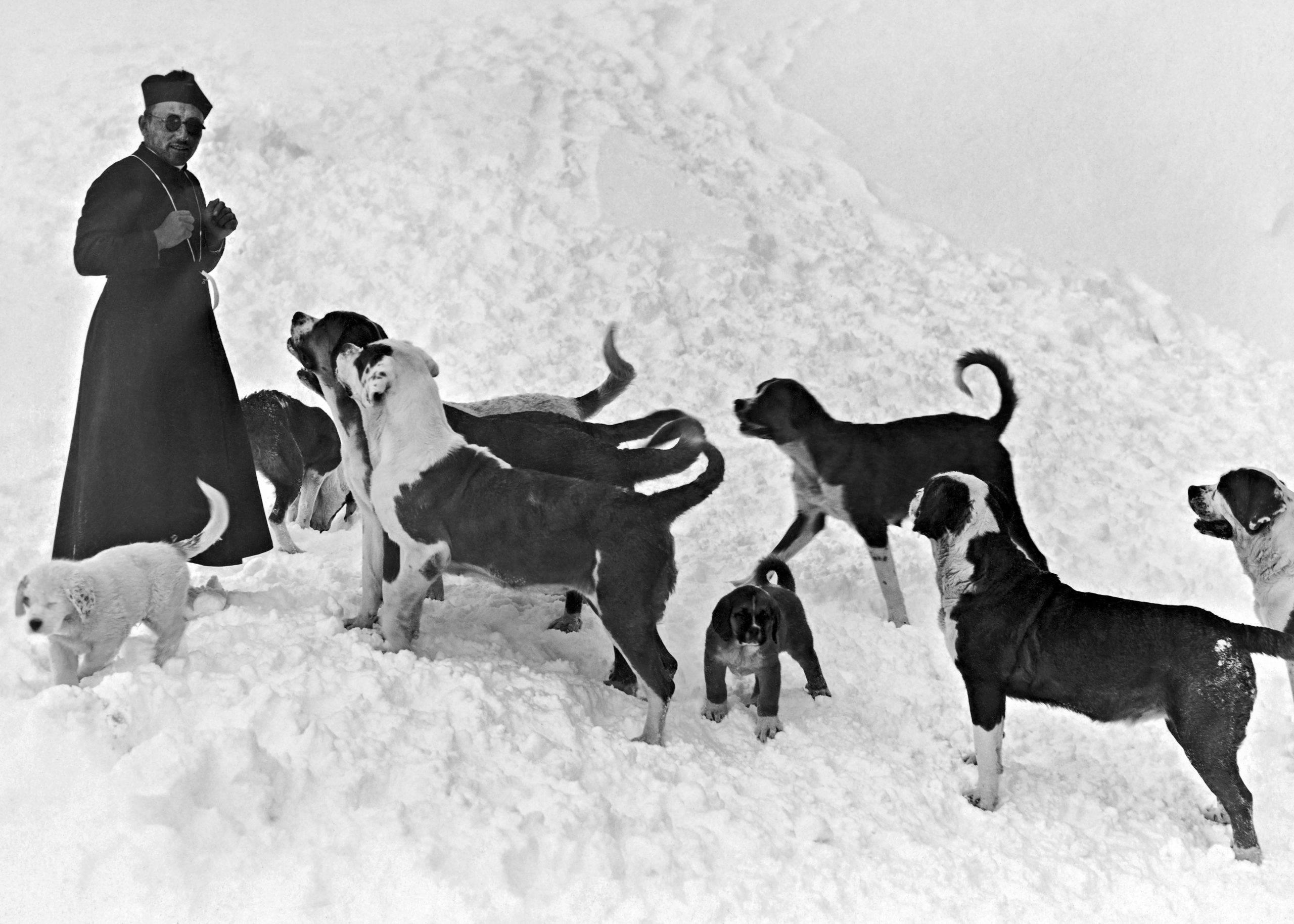 Le chanoine Jacquier et les chiens, inverno 1935
© Maison hospitalière du Grand-Saint-Bernard