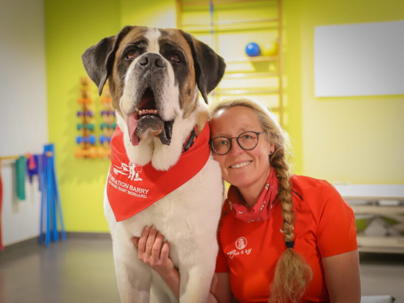 Barry social – Comment les Saint-Bernard favorisent le bien-être et le développement