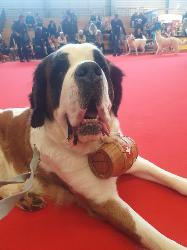 Présence à la Hundemesse de Winterthur