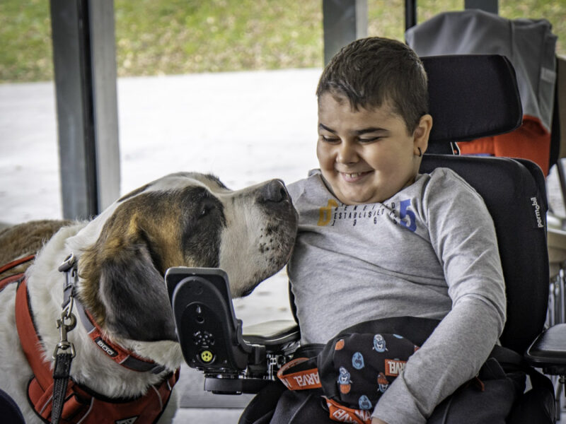 Mental Health Awareness: Social Dogs